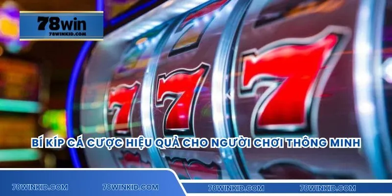 Bí kíp cá cược hiệu quả cho người chơi thông minh